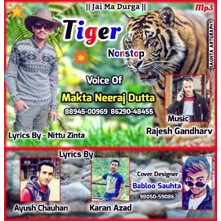 Tiger Non-Stop